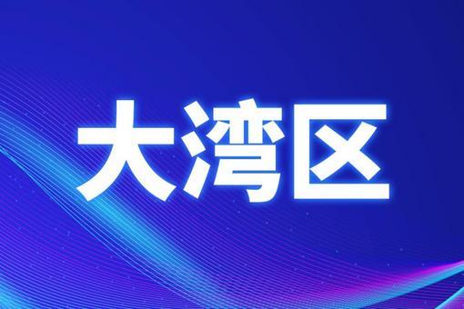 老澳门开奖结果2024开奖记录查询_精选解释落实将深度解析_安卓版174.913