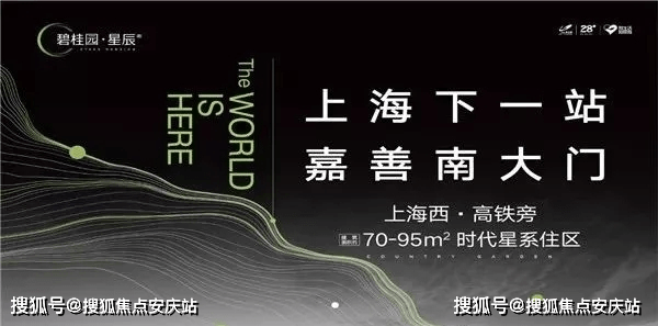 2024新澳免费资料大全_详细解答解释落实_主页版v935.951