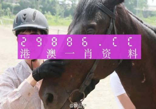 澳门精准一肖一码一必中一肖_作答解释落实_手机版091.414