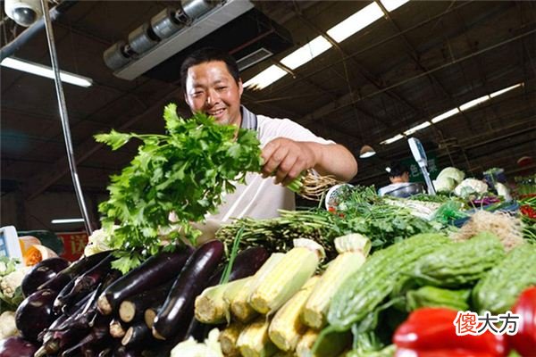 解梦铺子卖菜，探寻梦境与商业之秘  解梦找铺子卖菜