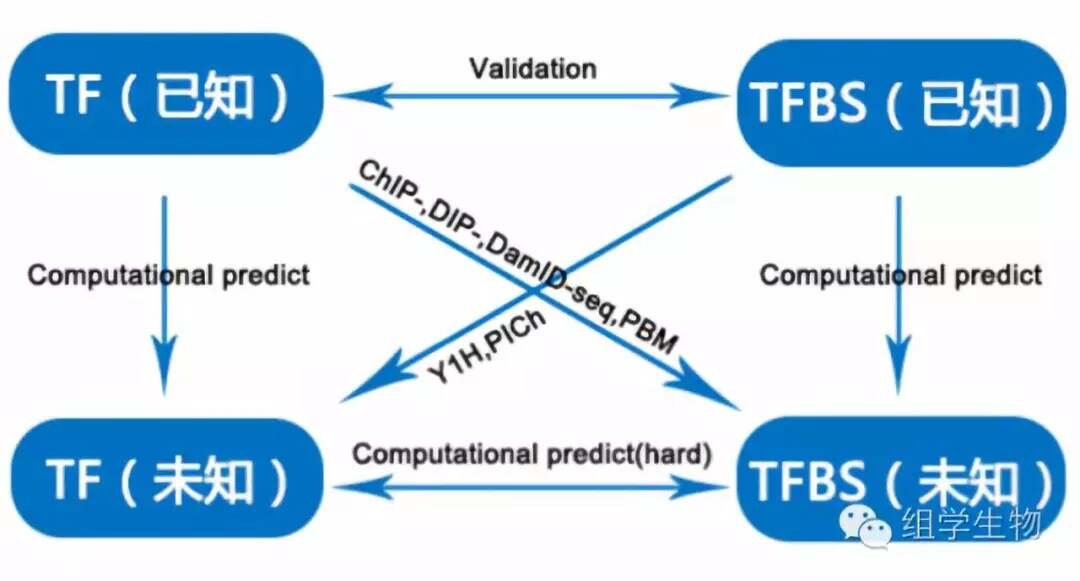 tfa与ush，技术进步与用户体验的较量  tfa vs ush