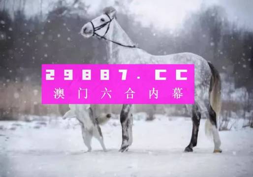 澳门码鞋一肖一码-精选解析与落实的详细结果