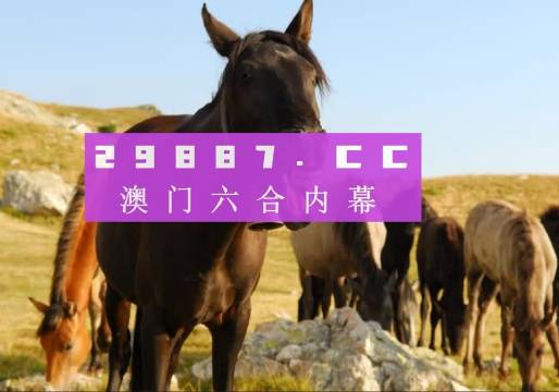 管家婆澳门图库新大全-AI搜索详细释义解释落实